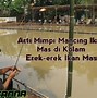 Mimpi Dapat Ikan Mas Warna Hitam